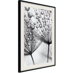 Arkiio Affisch Morning Dew [Poster] 20x30 Poster